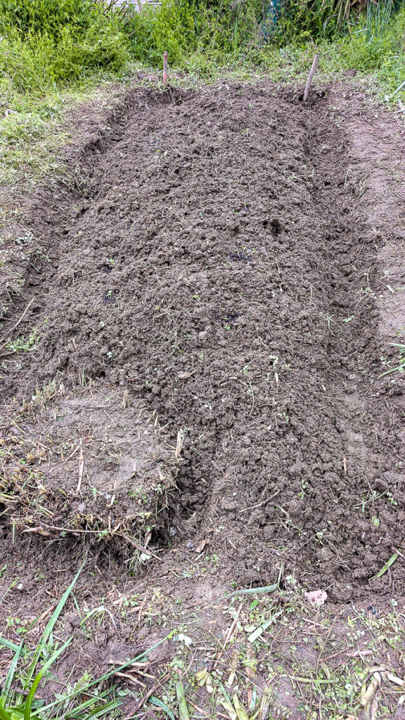 四隅に杭を立てた上段の畝を上から見た状態