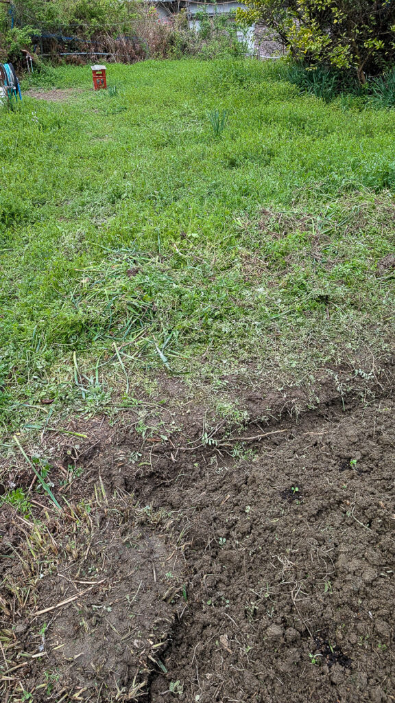  草と耕作エリアの境目が見える上段の畑全体
